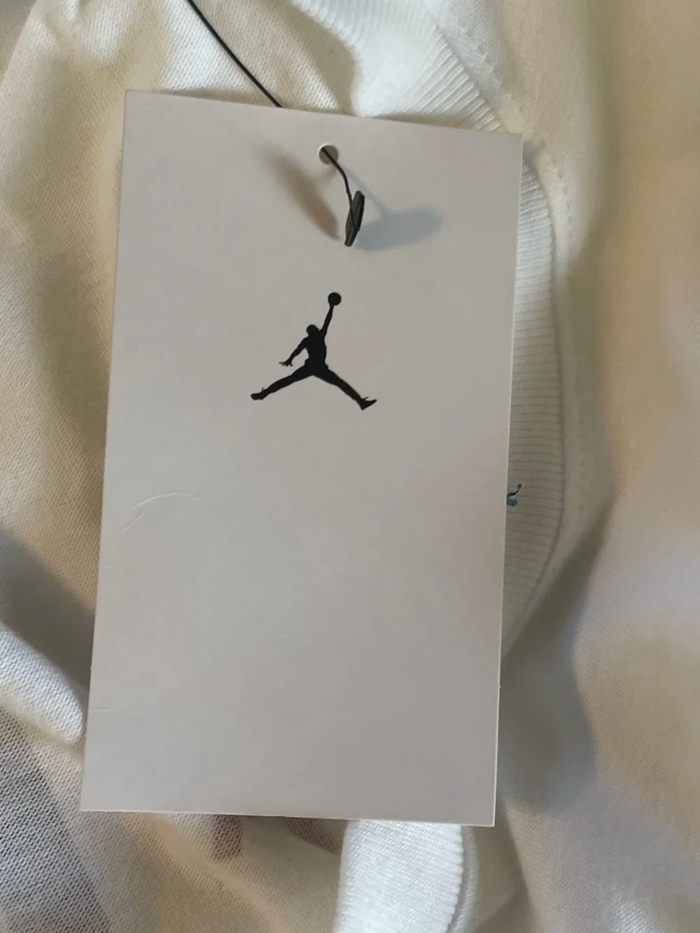Jordan air nwt